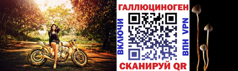 купить  сайты  Калуга  MEGA как зайти  Галлюциногенные грибы мицелий 
